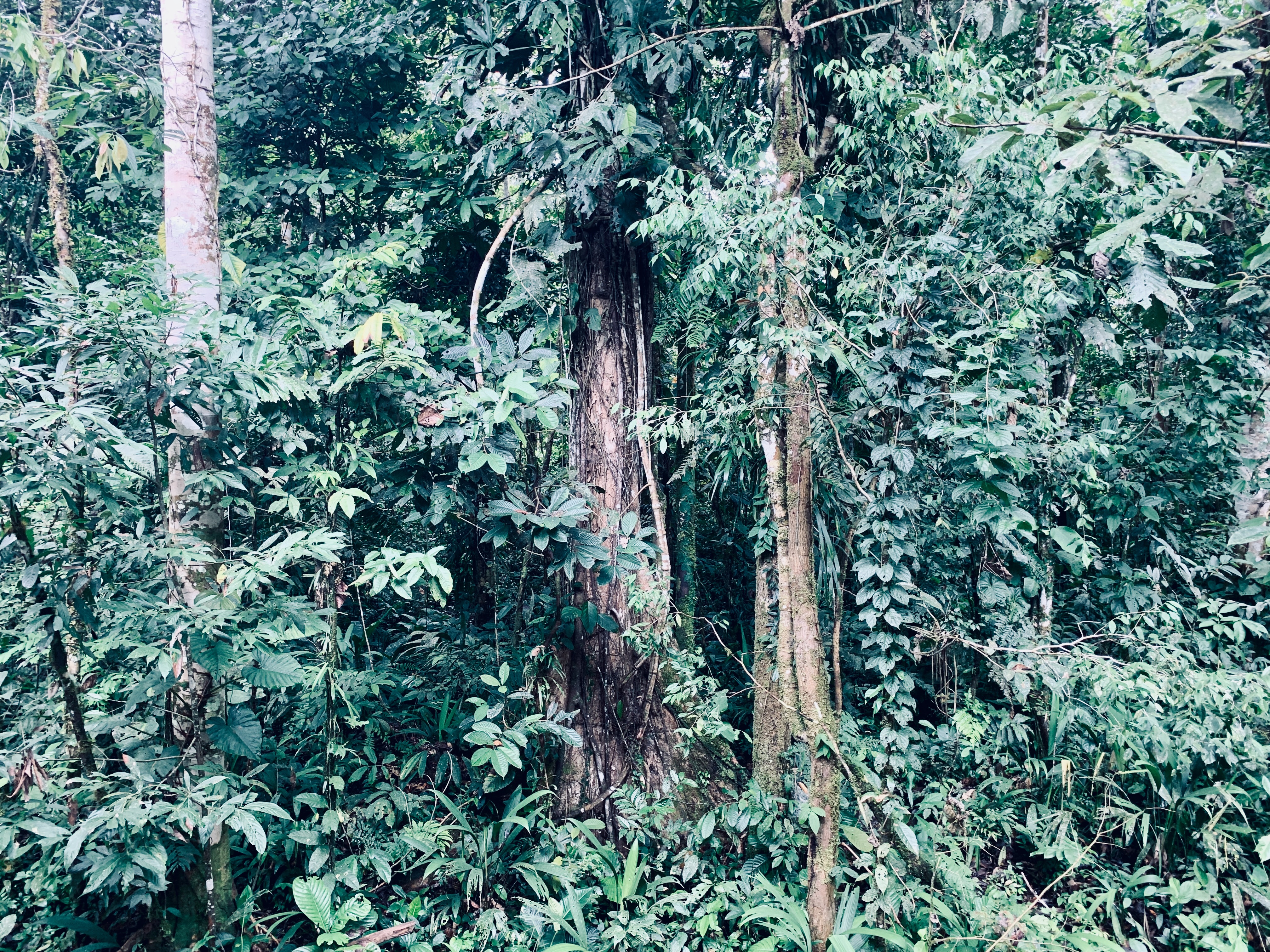 Photo by Kata Beilin. CC BY-NC-ND 4.0.